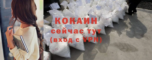 прущие грибы Армянск