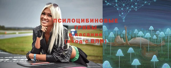 прущий лед Арсеньев