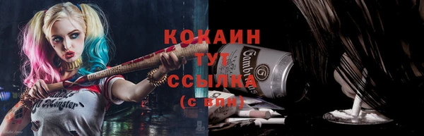 прущие грибы Армянск