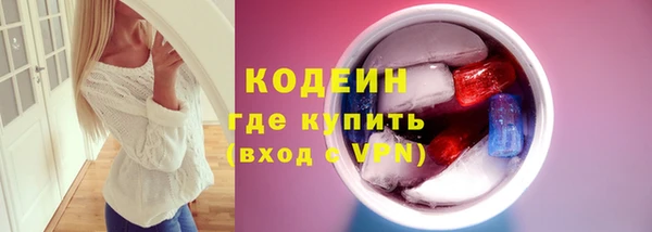 прущие грибы Армянск