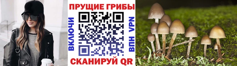 Псилоцибиновые грибы Magic Shrooms  продажа наркотиков  Кировск 